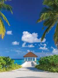🏝️ Maldives Magic: Honeymoon Haven & Aquatic Bliss 🌊