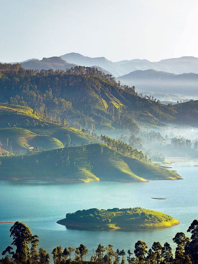 🌱🍵 Serenity in Sri Lanka: Ceylon Tea Trails Escape 🍵🌱
