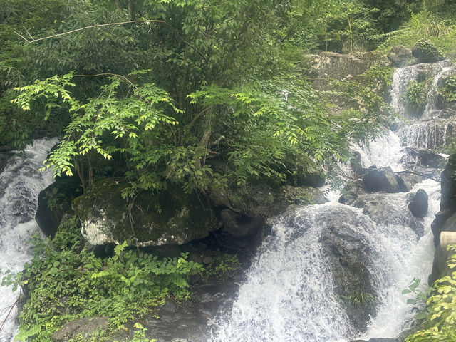 磐安花溪景區——避暑好玩好風景