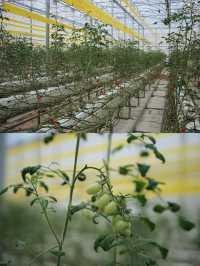 河源 | 深圳自駕2小時抵達寶藏親子度假地