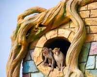準考證別丟｜想來動物園高考門票福利來了
