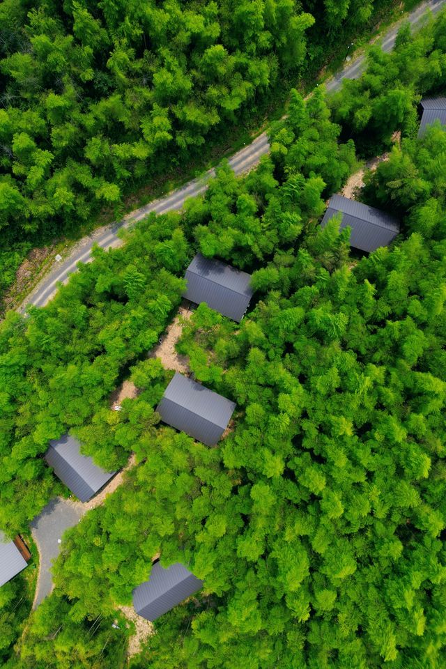 在莫干山闖入童話裡的小木屋