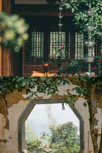 春風輕拂，尋覓武義秘境——一日踏青新篇章