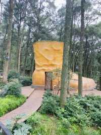 泡湯好去處～金方森林溫泉