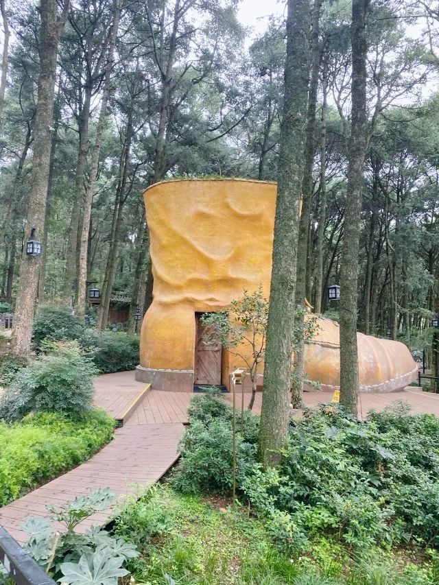 泡湯好去處～金方森林溫泉