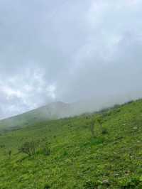 臥龍·雲中牧場