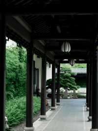 家人們誰懂啊 不出成都也能住進蘇式園林