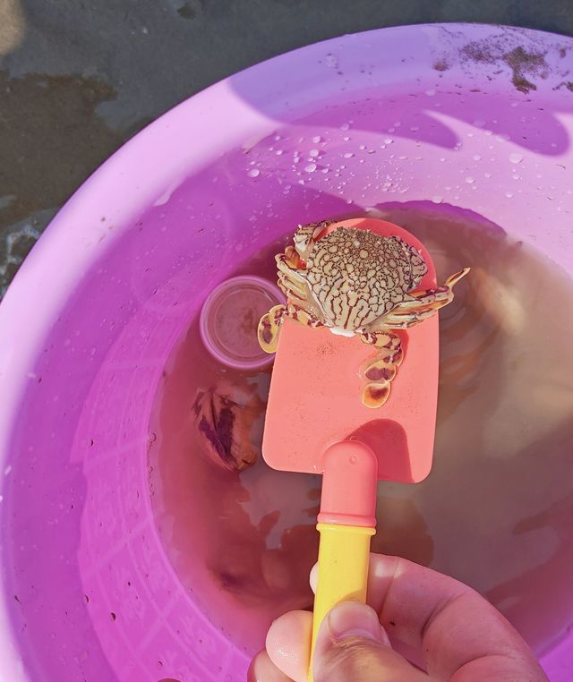南通的海是普通的海