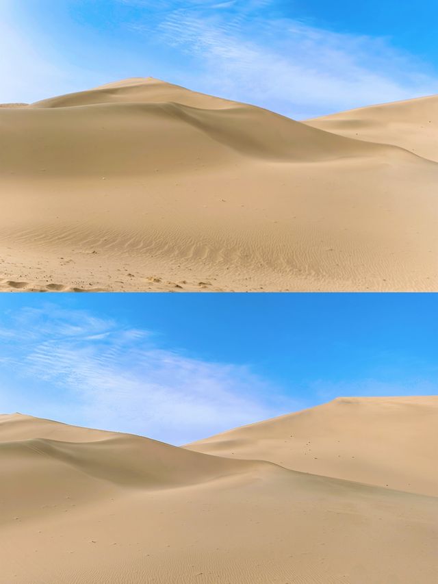 敦煌駱駝重踏絲綢之路（附含騎駱駝攻略）