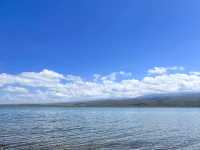青海湖｜美麗神秘的夢中清湖。