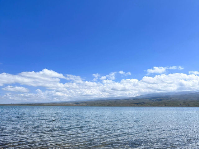 青海湖｜美麗神秘的夢中清湖。