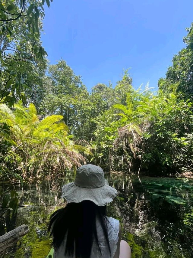 The Mirror Lake kayaking is Amazingly Beautiful Experience🥰
