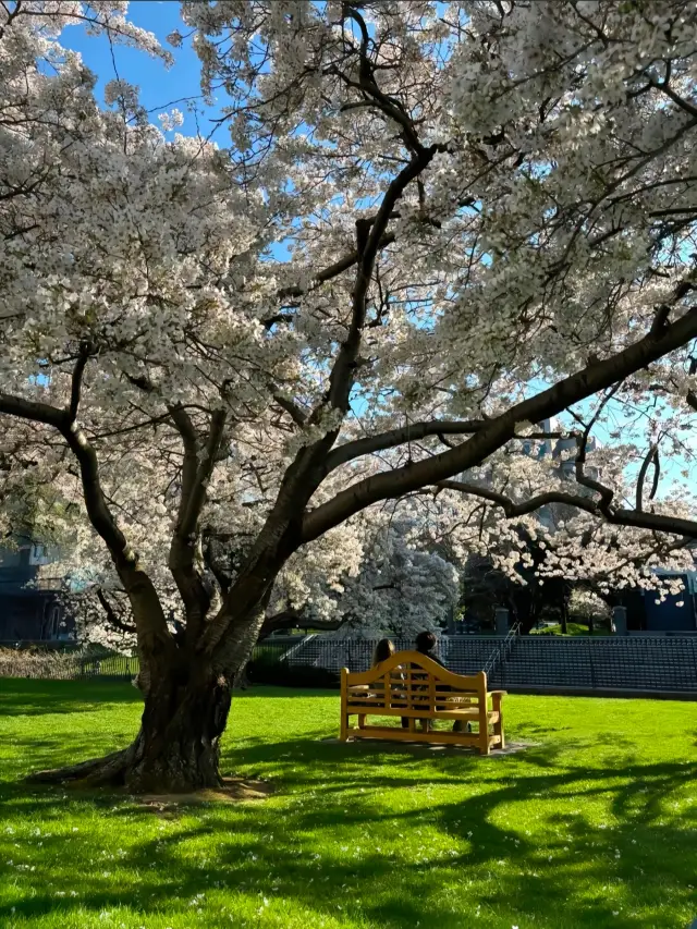 Early spring in the Southern Hemisphere.