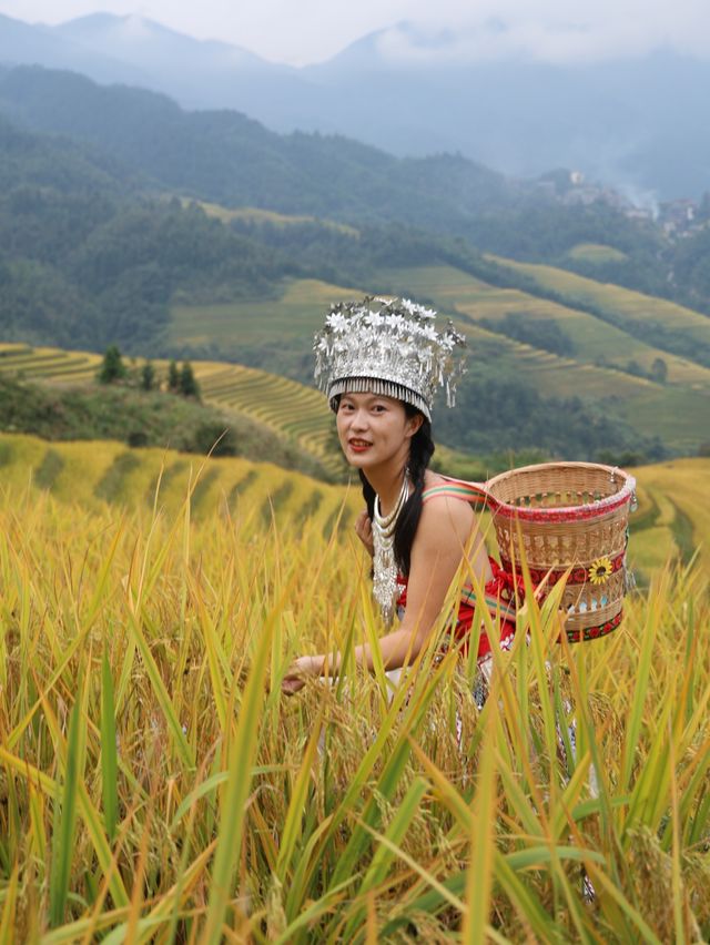 桂林龍脊梯田！住進秋天的童話裏。