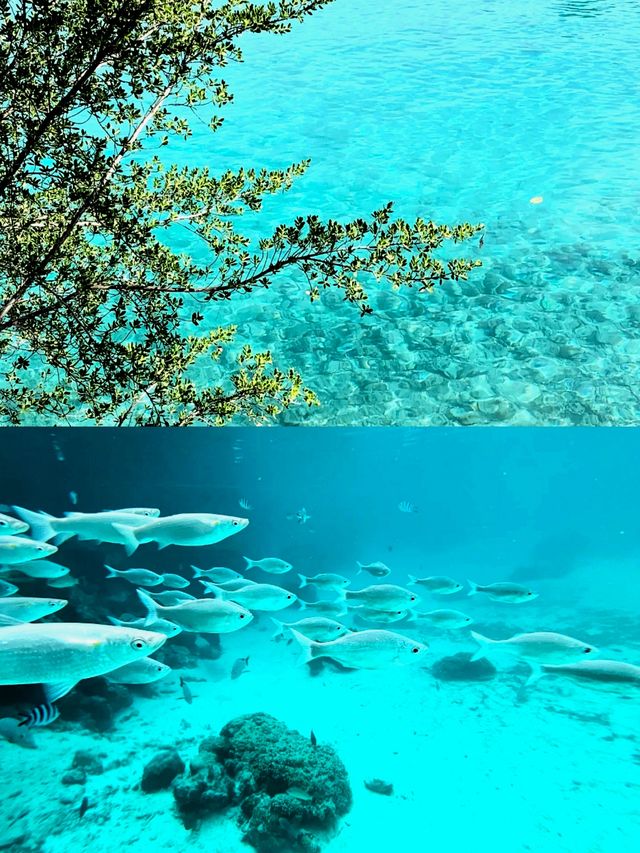 大溪地：人間仙境還是現實版的「桃花源」？。