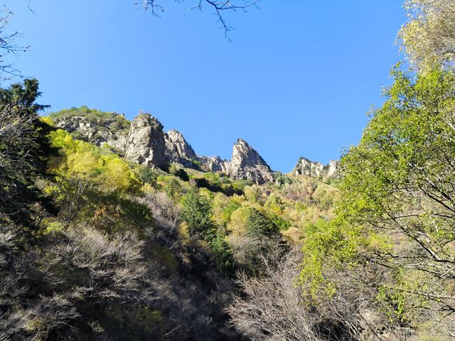 蔚縣輝川秋色美如畫。