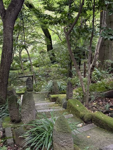 🇯🇵 Nezu Museum: A Quiet Art Treasure in Tokyo | Trip.com Tokyo