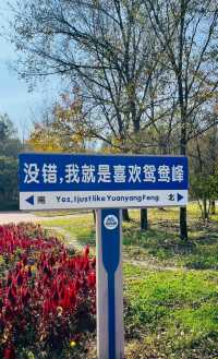 沒錯，就是喜歡鴛鴦峰，富養森林，一定要多做深呼吸！！。