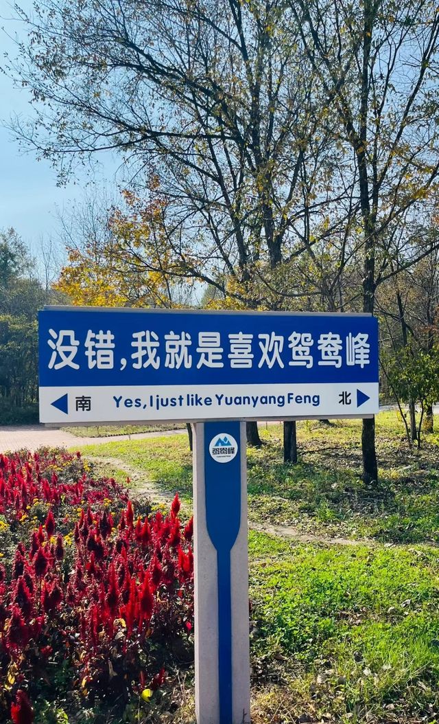 沒錯，就是喜歡鴛鴦峰，富養森林，一定要多做深呼吸！！。