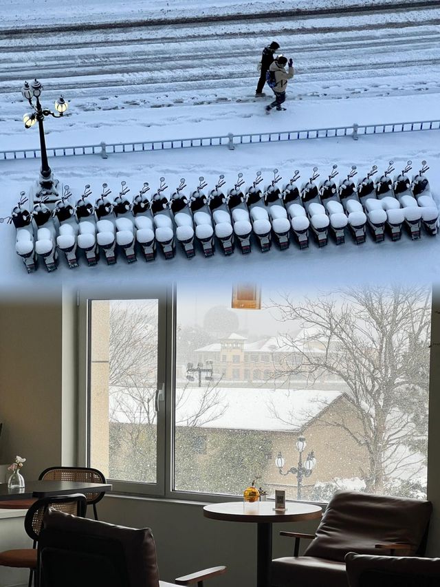 開始期待下雪的威海了！很冷又很浪漫。