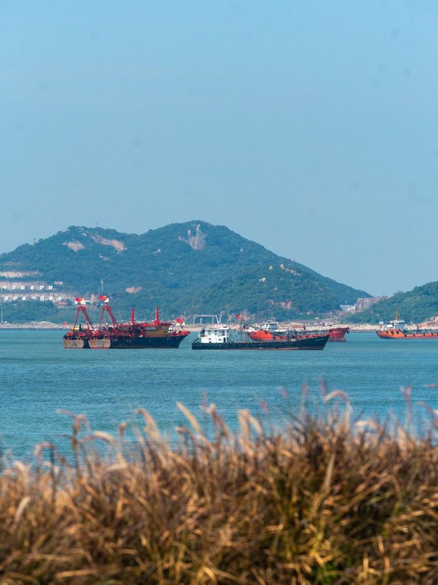 旅行四年，去過國內最治癒的小眾海島 在廣東找到了一個能滿足對海邊所有幻想的小島 礁石、燈塔、橘子海。