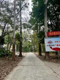 廣州天河區樹木公園|地鐵直達的草地溪流森林地。