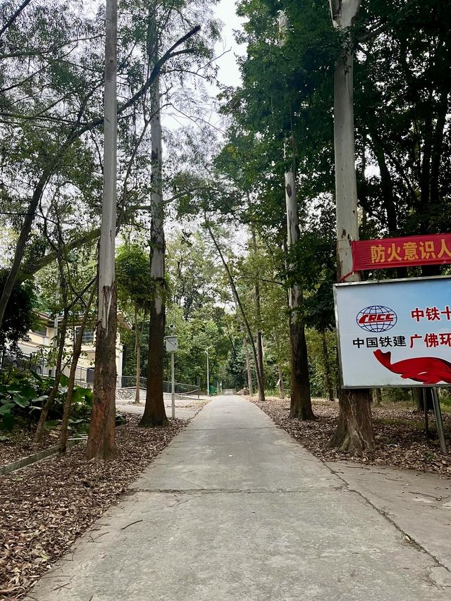 廣州天河區樹木公園|地鐵直達的草地溪流森林地。