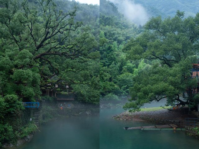實在是太美了。