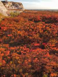 滿山紅遍日照金山紅葉谷太震撼了。