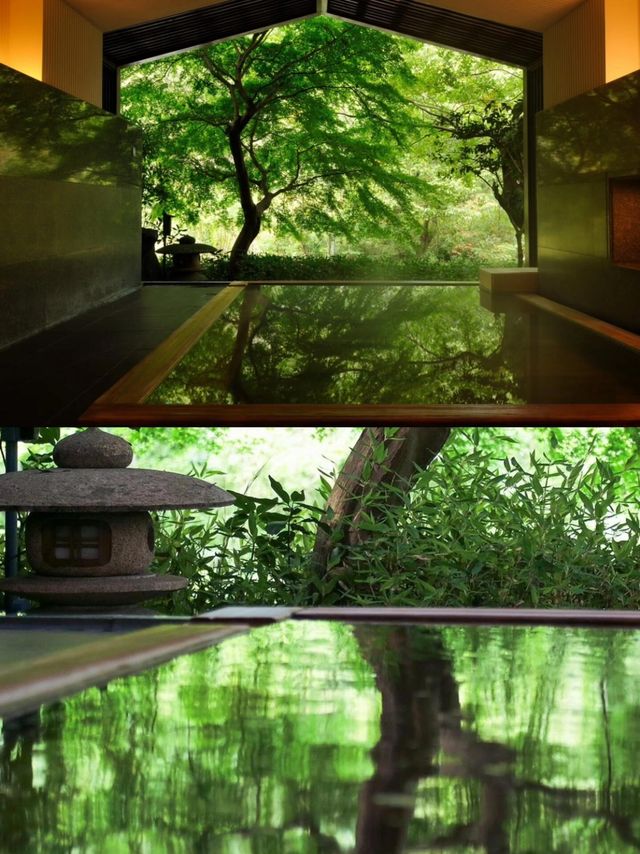 到箱根泡個湯賞個紅楓，這趟日本總算沒白來！。