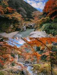 東京賞楓圖鑑：御岳山。