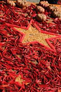 婺源分源——大余灣晒秋。