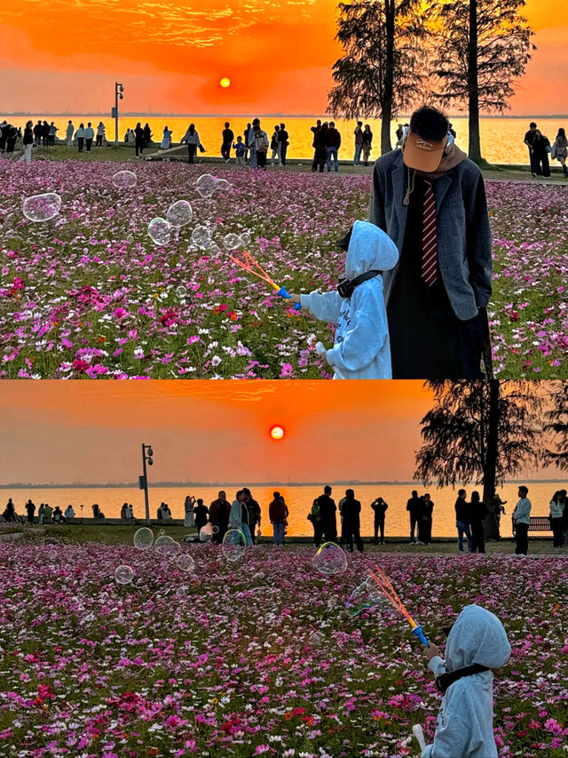 答應我！一定要去上海後花園阿勒泰！附路線哦！。