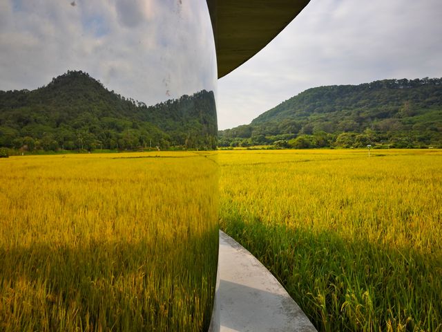 錯過一次，再等一年的美景。