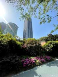 魔都最核心區域的五彩城市公園，中心湖碧波蕩漾。