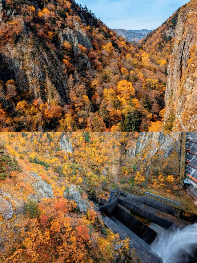 札幌賞楓圖鑑：豐平峽溫泉。