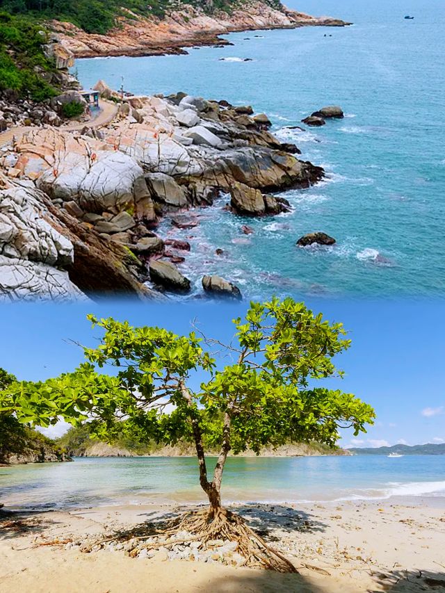 馬來西亞山打根海龜島：與海龜共舞的夢幻之旅。