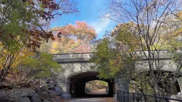 Autumn in a fairy tale! New York · Prospect Park!! 