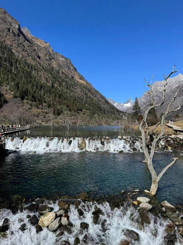 冬天的四姑娘山看到了日照金色雪山。