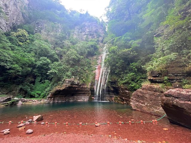 桂平龍潭國家森林公園｜自然奇觀與生態寶庫