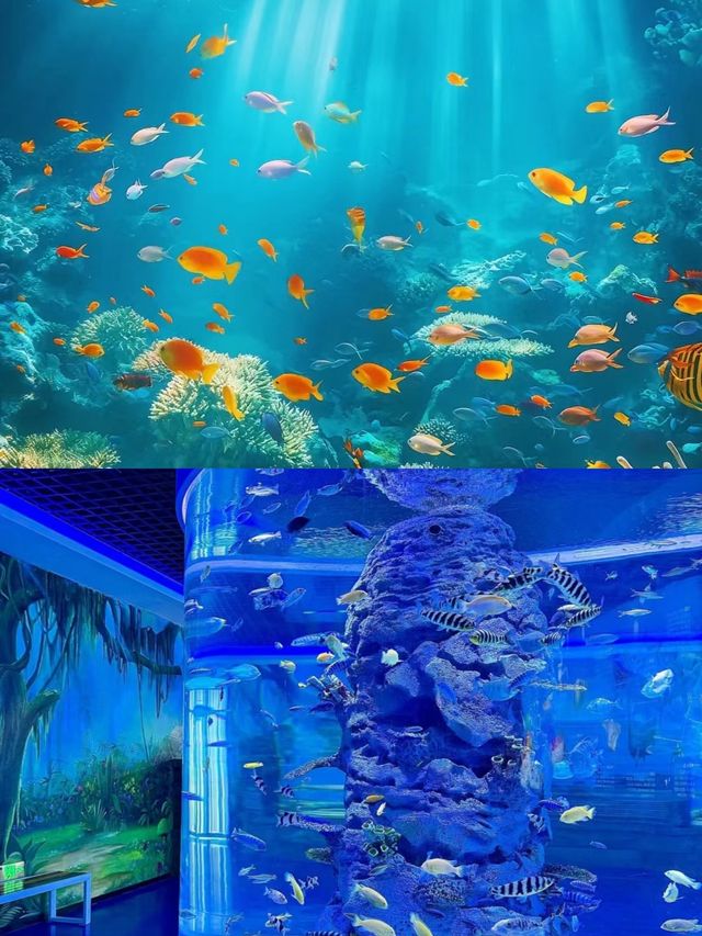 小梅沙海洋世界
