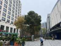 杭州｜嘉里中心城中香格里拉感覺很不錯啊，方便
