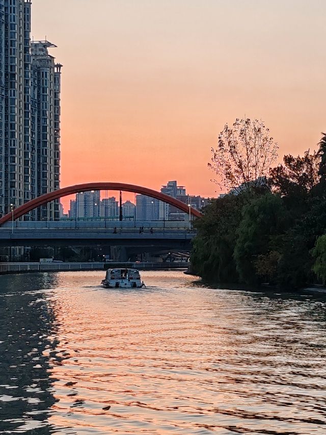 美景美拍美食，滬上掃秋半日遊