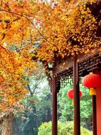 南京小眾賞秋處|清涼山公園