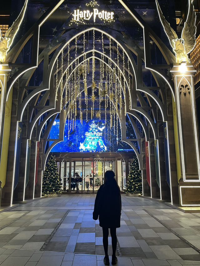 Shanghai christmas city walk 