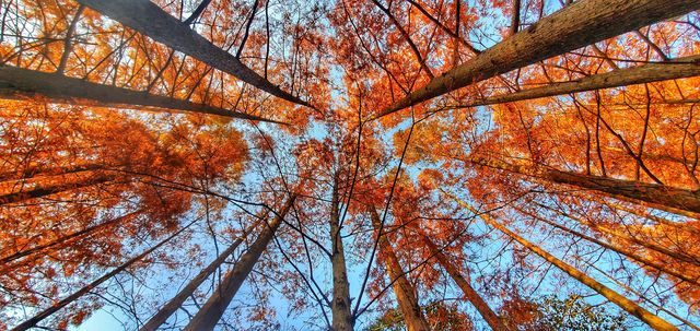 真的不想叫你來這裡｜梅隴生態公園