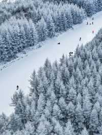 崇禮五大雪場該怎麼選看這一篇就夠了