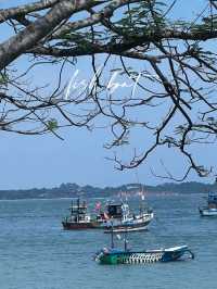 Sri Lanka | Mirissa Whale Watching Guide