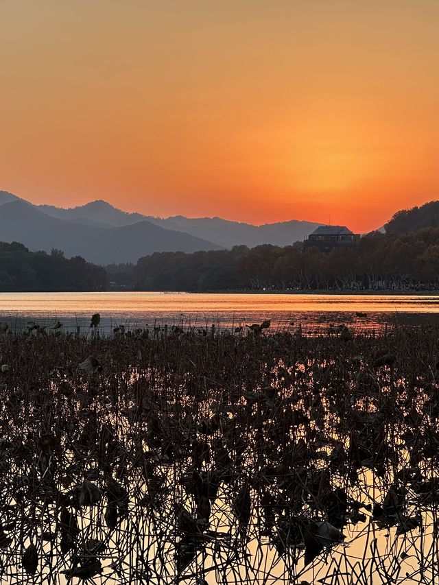 蘇州-烏鎮-杭州3日深度遊 玩轉江南水鄉