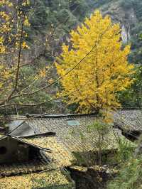 陶公洞
